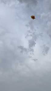 Morning game #kite#kiteflying#amritsarkiteflyingclub | Amritsar Kite Flying Club