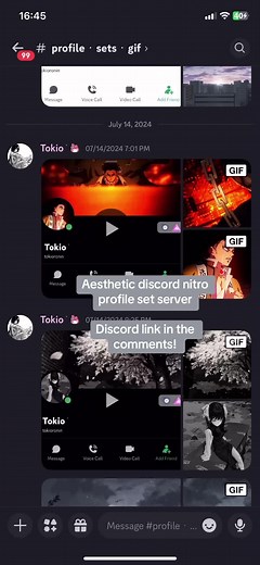 Aesthetic Discord Profile Sets with Custom Requests