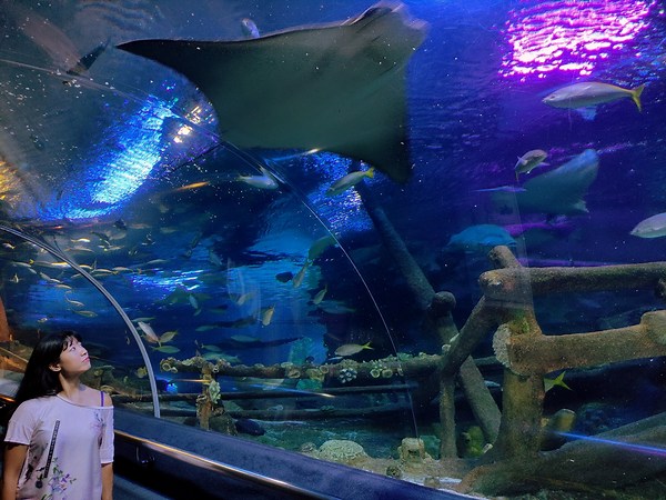 Everything You Need To Know Before Visiting Aquaria KLCC (UPDATED 2023)