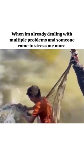 stress se dur rehna hai🙂#trending#shorts#youtubeshorts #video #relatable #reels#funny#cat#anime#fun