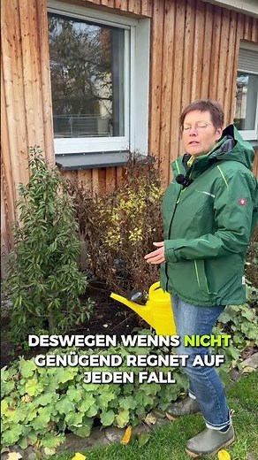 ANNETTES GARTENTIPP☝🏼🌻