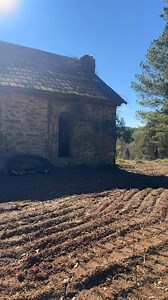 10K views · 516 reactions | In a region where timber ruled, this...