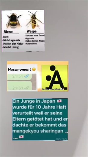 Comparing Wasps and Bees: Key Characteristics Explored