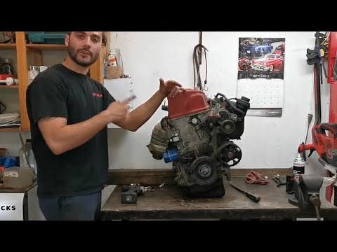 HONDA K20 + K24 TIMING CHAIN INSTALL