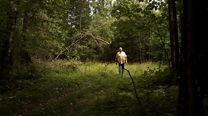 Common Ground - Identifying Trees of Northern Minnesota - Twin Cities PBS