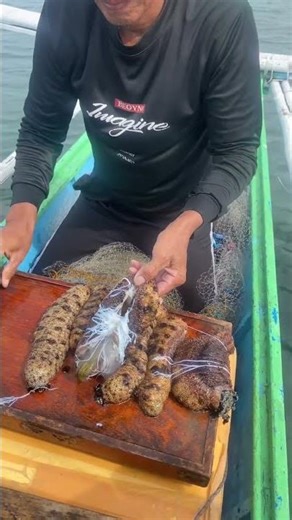 what inside cuttle sea cucumber #viral #shorts #foryou