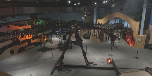 Don Harrington Discovery Center to launch ‘Dinosaurs in Motion’ exhibit