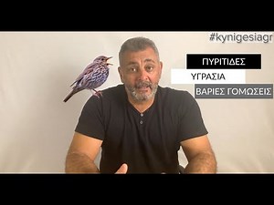 Πυρίτιδες, υγρασία και βαριές γομώσεις