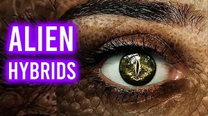 Alien reptilian human hybrid souls are incarnating on planet Earth. So, basically a whole bunch of human alien reptilian hybrids are masquerading as humans. #aliens #reptilian #spiritualawakening 👽💥 | Christos Avatar TV