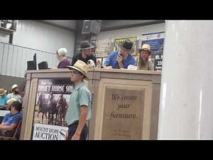 An Amish auctioneer