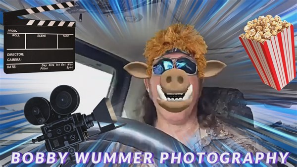 2.2K views · 75 reactions | Florida Wild Hogs The wild hog (Sus...