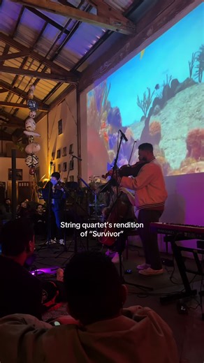 String Quartet's Rendition of 'Survivor' at Maho Beach