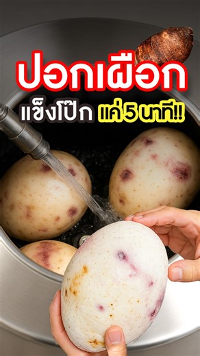 💥ปอกเผือกเปลือกแข็งๆใน 5 นาที ปอกเกลี้ยง❗ www.sgethai.com/product/potato-peeling-machine/ ปอกไม่กินเนื้อ ปอกไว เทียบเท่า 40 คนปอก 👉เปลี่ยนมาใช้ เครื่องปอกมันฝรั่ง ไฟฟ้า ✅ ใช้ปอกมันฝรั่ง, มันเทศ, เผือก, ขิง, แครอท ✅ ให้กำลังผลิตสูง 350 กก./ชม. ✅ ถังหมุนเร็ว 275 รอบ/นาที ขัดผิวฉับไว ✅ มีระบบน้ำหล่อเลี้ยง ขัดลื่น สะอาดไวขึ้น ✅ มอเตอร์ทองแดงแท้ ทำงานเสถียรต่อเนื่อง ✅ เครื่องสแตนเลสแท้ แข็งแรง ทนทาน ✅ แผ่นขัดมีให้เลือก 3 แบบ กระดาษทรายดำ/ กระดาษทรายแดง/ สแตนเลส . ⭐ ทดลองใช้งานฟรี ที่ Showroom SGE ⭐