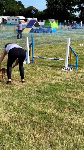 Fergie's First Day at Dog Agility Competition