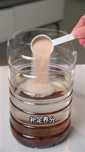 Stop Buying Rooting Agents: Make This Super Simple DIY Version Instead