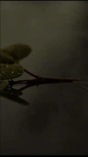 اسمع يامن تعصي الله سبحانه وتعالى