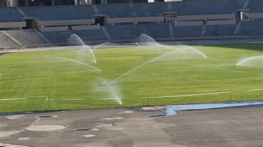 #creatorsearchinsights