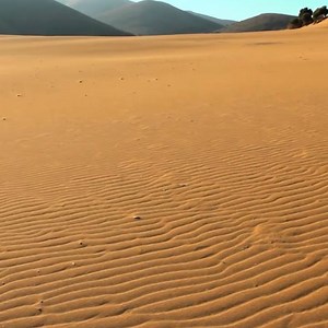 A wonder of nature, the sand dunes on Lemnos island is the only desert in Greece and a breathtaking landscape that a few know about! Full story: https://goo.gl/KFwvYD Video by Atlas Visual | Greek Reporter