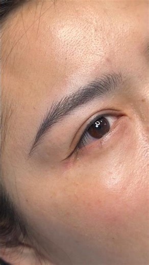 Beginner Eyeliner Techniques for Permanent Makeup Students | Natural Brow & Eyeliner Design Mastercl