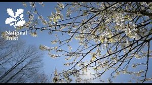 National Trust The National Trust is for everyone, for ever. advert UK