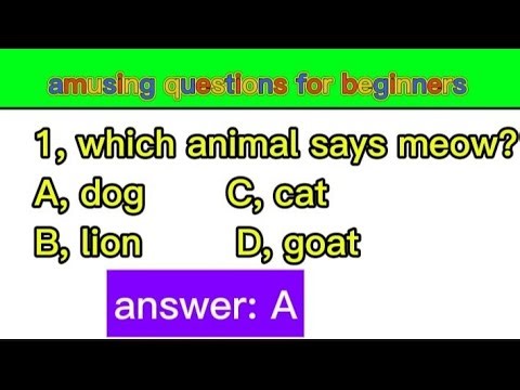 “Laugh & Learn English: Fun Animal Grammar Questions for Beginners”