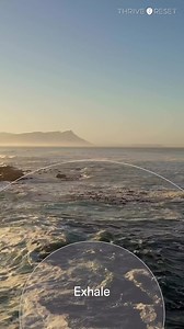 68 reactions · 13 shares | Do you have 60 seconds? Science shows that we can reset from stress in 60 - 90 seconds. That’s all it takes to interrupt stress before it becomes cumulative. So try this 60-second Reset from Thrive Global. | Arianna Huffington | Facebook