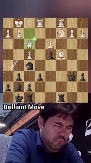Hikaru — Brilliant Move Lihat bagaimana Hikaru membaca posisi ini. Dari langkah benteng yang brilian, pion bebas dilepas dan badai pun membakar papan lawan. Hikaru — Brilliant Move Watch how Hikaru reads this position. From a brilliant rook move, the passed pawns are unleashed, and a storm engulfs the board. #BrilliantMove #ChesaArt #BestMove #ChessBrilliant | Khail Adian