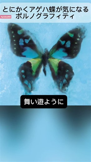 とにかくアゲハ蝶が気になるポルノグラフィティ