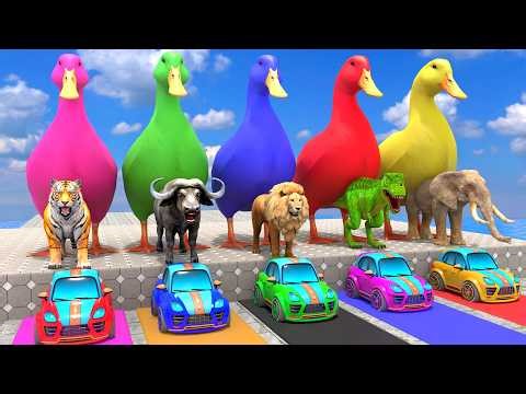 Long Slide Game With Cow Elephant Gorilla Hippopotamus Tiger - 3d Animal Game - Funny 3d Animals