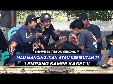 KALO UDAH KAYAK GINI SALAH SIAPA? KEDI SAMPE GIGIT BUNTUT IKAN MAS || AGF28