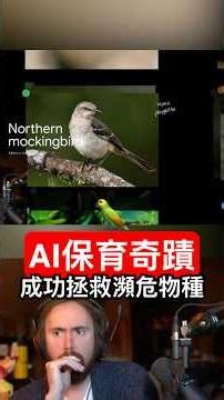 Google AI成功「復活」瀕危物種？讓不會飛的鸚鵡免於滅絕！