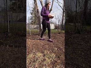 Watch This Acrobatic Squirrel Hang Upside Down While the Birds Eat Relaxing Backyard Nature Cam