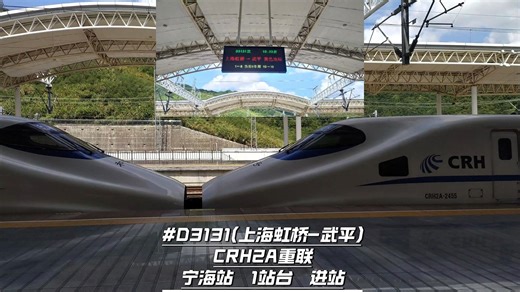 D3131(上海虹桥-武平)龙岩动车所统型CRH2A列车宁海站1站台进站