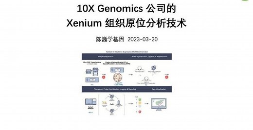 【陈巍学基因】Xenium 组织原位分析技术_腾讯新闻