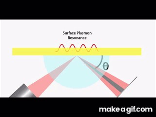 Surface Plasmon Resonance Explained on Make a GIF
