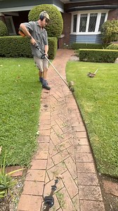 1.5M views · 6.1K reactions | Here’s the difference between line trimming and blade edging. #lawnedging #edging #linetrimmer #bladeedge #lawncare #clearwinner #smooth #satisfying #winner | Blossom Lawns & Gardens | Facebook
