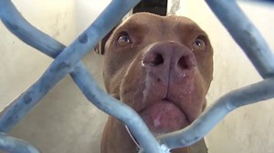 12K views · 355 reactions | CODE RED  She has until WEDNESDAY...