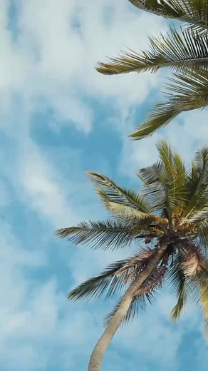 Find the perfect Summer outfit at Wish Boutique 🌸🌼☀️ | Wish on Main