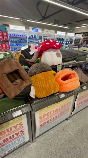 Aldi Pet Specialbuys Preview: Spooky Halloween & Autumn Range! 🐾🎃 #Aldi #PetHaul #Specialbuys
