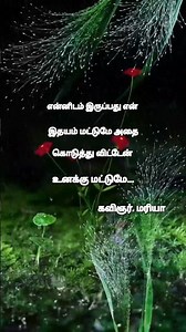 ♥️♥️lovekavithai ♥️♥️ heart voice poetry