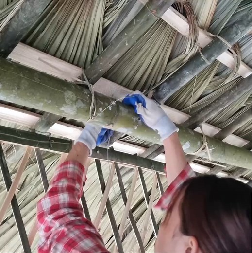 Tap the link to the full video now: 👇👇 https://goodhealth.ink/archives/688 | Wilderness Life