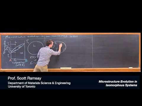 Microstructure Evolution in Isomorphous Systems