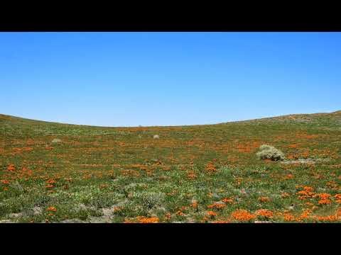 RTX 5070Ti Intel 14900K WoW Ghosts of K'aresh Ep.6