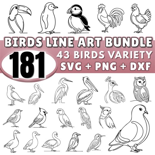 Birds Line Art SVG Bundle | 43 Bird Species Outline Designs | Minimal Bird Drawings | PNG DXF Svg Files | Cricut Silhouette | Commercial Use - Etsy UK