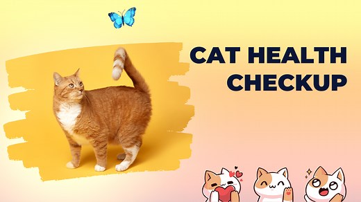 Cat Health Checkup