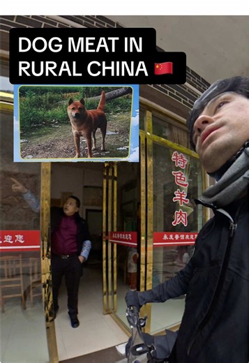 Specialty dog meat in rural Guizhou.. this was between Tucheng and Renhuai, during my trip from Chengdu to Guiyang. Check out the full adventure on YouTube, it’s way nicer than these short form vids 😘 #bikepacking #travelchina #learnchinese #dogmeat #guizhou