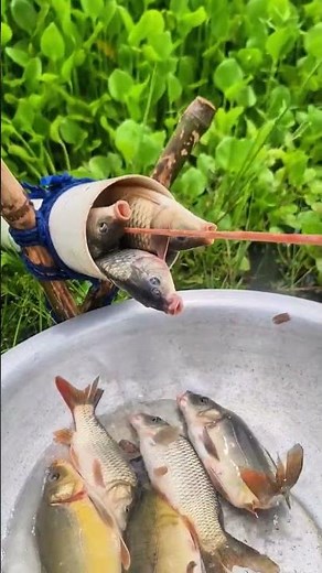 Eco-Friendly Fish Traps You Can Make from Recycled Stuff!