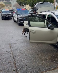 San Pablo Police Department on Reels