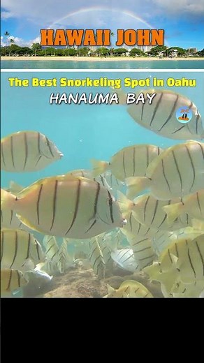 Hanauma Bay ⛱️ The Best Snorkeling Spot in Oahu 🌴 Hawaii John