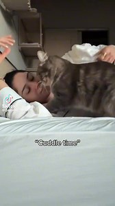 There's nothing better than cat cuddles! 😻🐾❤️⁠ ⁠ 📹️: @paquito_thecat on TikTok | Modern Cat magazine